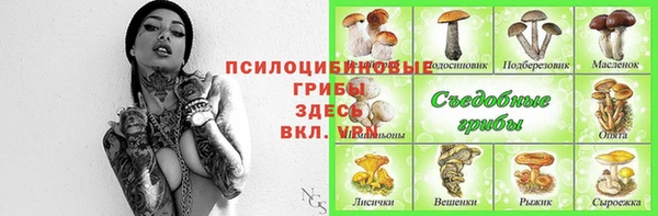 винт Алзамай
