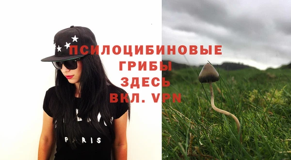 винт Алзамай