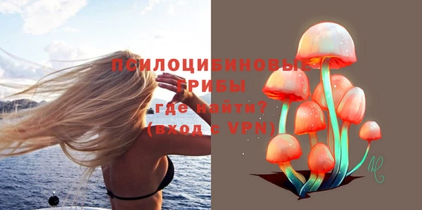 героин Алексин