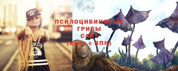 героин Алексин